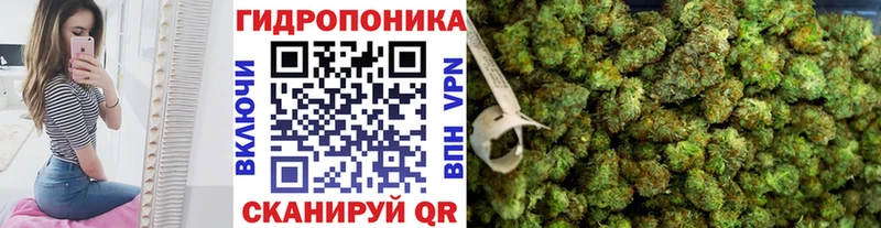 Марихуана конопля  Купить  Межгорье 